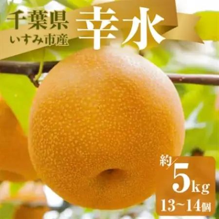 【2026年発送先行受付】いすみ市産幸水梨　約5kg(13～14個)_果物・フルーツ 和梨 梨 わなし ワナシ_【1462339】