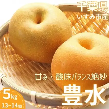 【2026年発送先行受付】いすみ市産豊水梨　約5kg(13～14個)_豊水 梨 いすみ市産_【1462343】