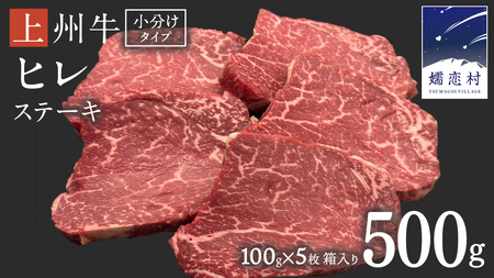 上州牛 ヒレステーキ 100g×5枚 [AH013tu]