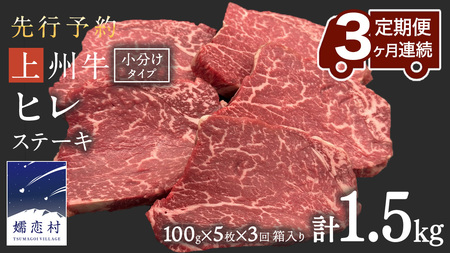 《 定期便 》 上州牛 ヒレステーキ 100g × 5枚 3ヶ月 連続お届け [AH020tu]