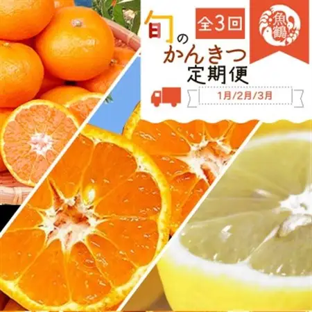 【発送月固定定期便】紀州和歌山産旬のフルーツセット(みかん・不知火・レモン)全3回【4005764】