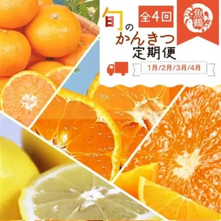 【発送月固定定期便】紀州和歌山産旬のフルーツセット(みかん・不知火・レモン・清見)全4回【4005765】