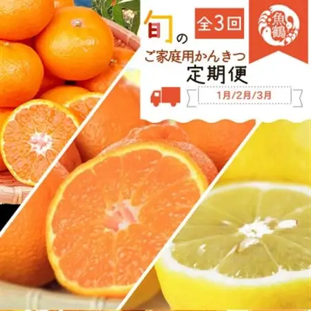 【発送月固定定期便】紀州和歌山産旬のご家庭用柑橘セット(みかん・不知火・レモン)全3回【配送不可地域：離島】【4005768】