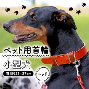 【 ペット 用 】 首輪 小型犬 レッド 21-27cm ペット