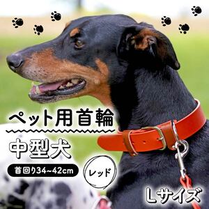 【 ペット 用 】 首輪 中型犬 Lサイズ レッド 34-42cm ペット