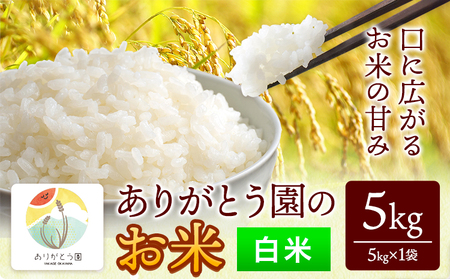 令和7年産 白米 ありがとう園のお米 5kg
