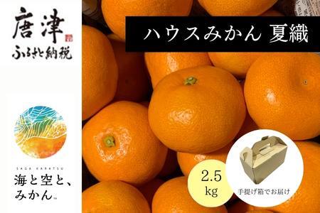 『先行予約』【令和8年6月より順次発送】夏の極上ハウスみかん「夏織」2.5kg 手提げ箱入り～海と空と、みかん～甘くてとろける夏の果物 ミカン フルーツ 柑橘 ギフト