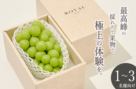 ＜2026年発送先行予約＞南アルプス市産 大粒シャインマスカット 1房入り 約700g ALPAL006