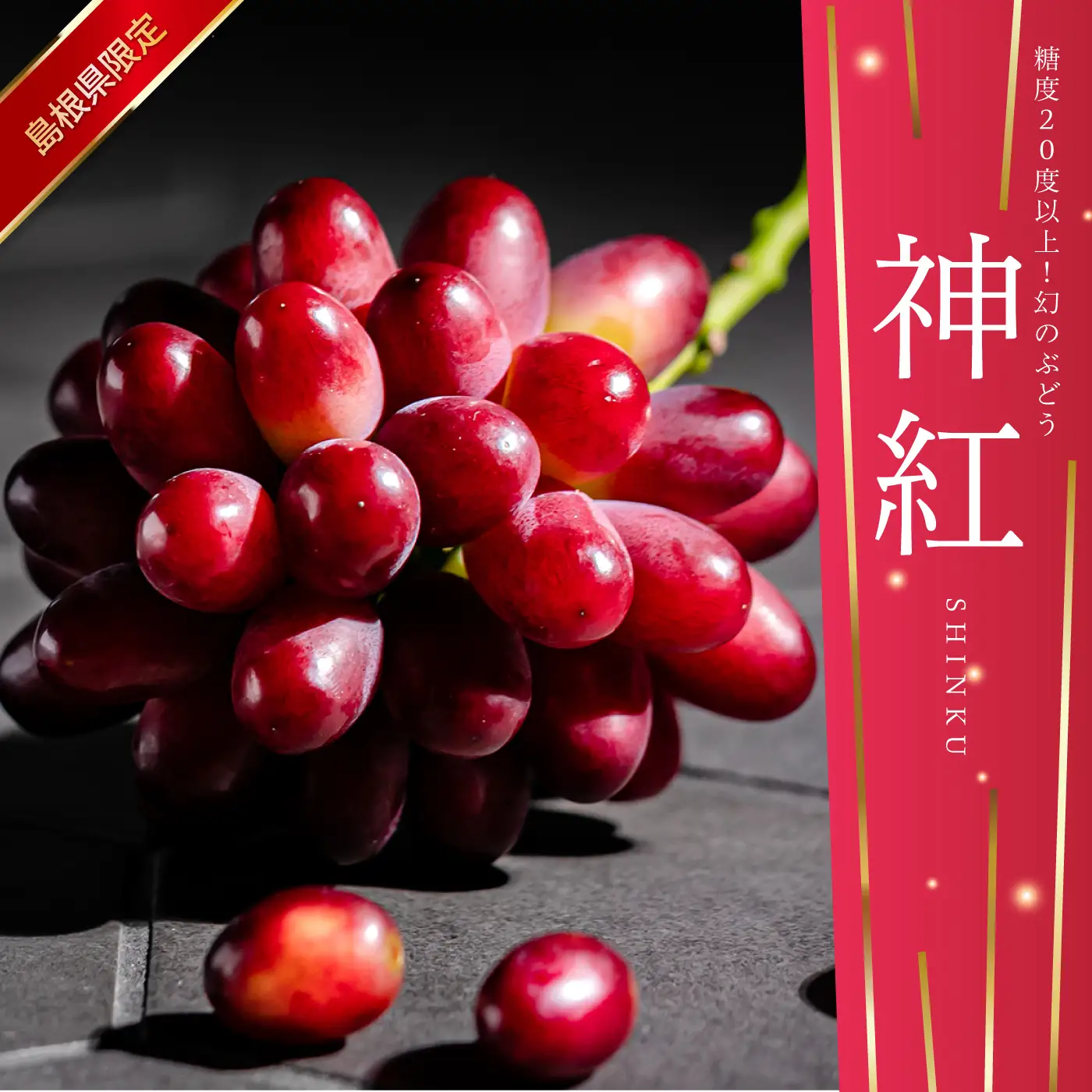 【先行予約】島根県限定！幻のぶどう“神紅(しんく)” 糖度20度以上！1房（450g以上）