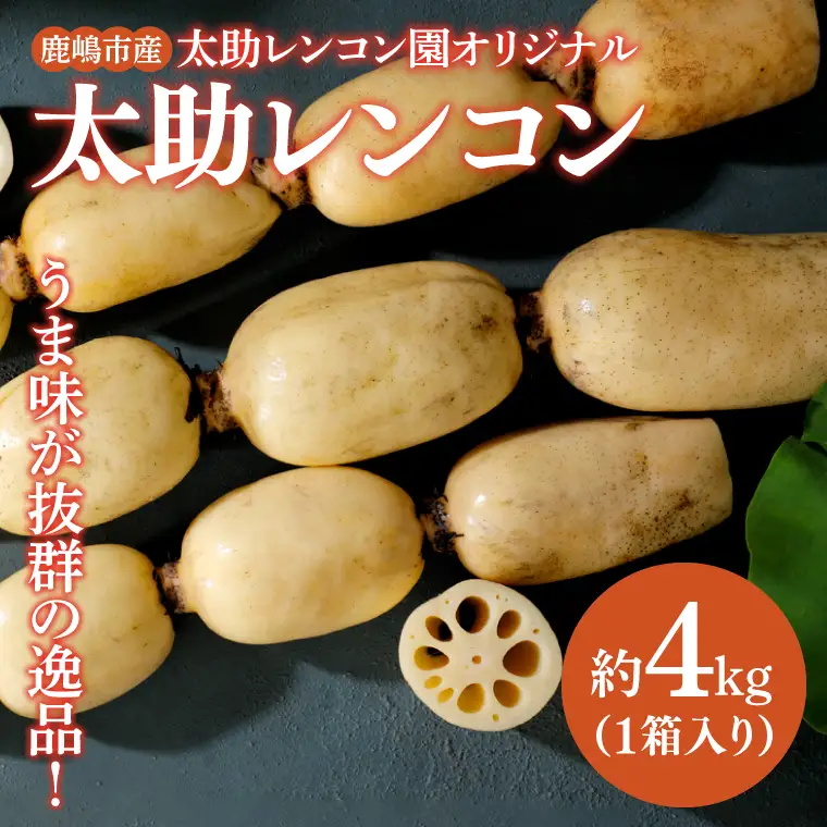 【先行予約】【奇跡のレンコン】鹿嶋市産レンコン　約4kg 【れんこん 根菜 蓮根 れん根 4キロ 20000円以内】（KBU-3）