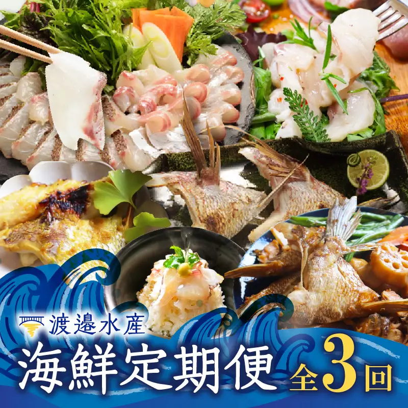 渡邉水産・海鮮定期便（3回）／ 真鯛 定期便【Z071】