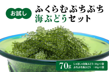 【お試し】ふくらむぷちぷち 海ぶどう セット 塩水タイプ 70g 沖縄 海ブドウ しゃきしゃき ぷちぷち 2種類 食べ比べ セット お試しセット 沖縄県グルメ 特産品 メール便 ネコポス 沖縄県 糸満市