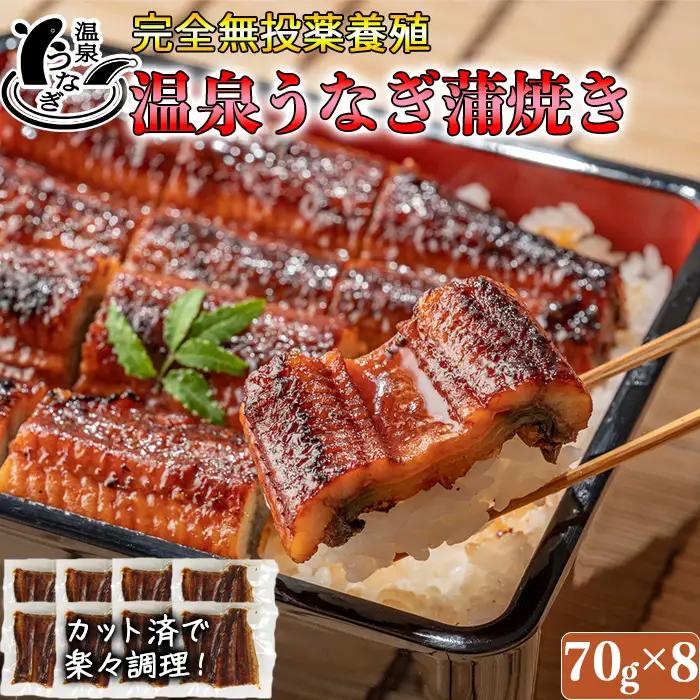 国産 温泉うなぎ 蒲焼 カット 70g×8【大分水産】 うなぎ 完全無投薬 九州 大分県 うな丼 うな重 冷凍 鰻 ギフト 受賞 食べきり 個包装 小分け スタミナ 夏バテ ＜104-004＞