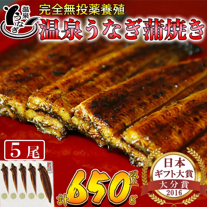 温泉うなぎ 蒲焼 5尾（130gサイズ）【大分水産】 国産 完全無投薬 うなぎ 九州 大分県 うな丼 うな重 冷凍 鰻 ギフト 受賞 土用の丑の日 スタミナ 夏バテ ＜104-006＞