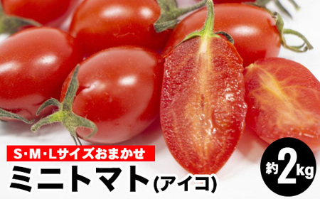 ミニトマトアイコ(松トマト）約2kg（S・M・Lサイズおまかせ）◇ 