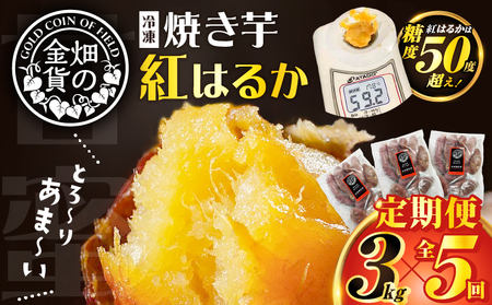 焼き芋 紅はるか 全5回定期便 3kg 【畑の金貨】 K181-T02 冷凍