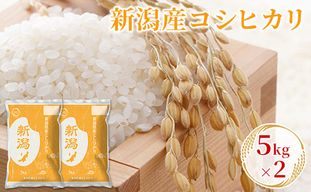 新潟産コシヒカリ 5kg×2 お米 精米 白米 ご飯 ブランド米 銘柄米 おにぎり お弁当 産地直送 