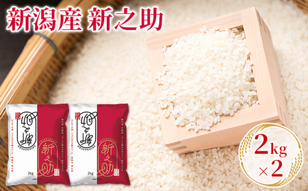 新潟産新之助 2kg×2 お米 精米 白米 ご飯 ブランド米 銘柄米 おにぎり お弁当 産地直送 