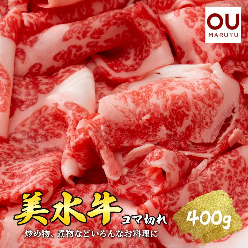 【ふるさと納税】 美水牛 ( コマ切れ 400ｇ ) 牛肉 冷凍品 ギフト 肉 お祝い 但馬牛 神戸牛 三田牛 数量限定 訳あり ふるさと納税 ふるさと 人気 おすすめ 送料無料 兵庫県 三田市 [3d28bae590008]