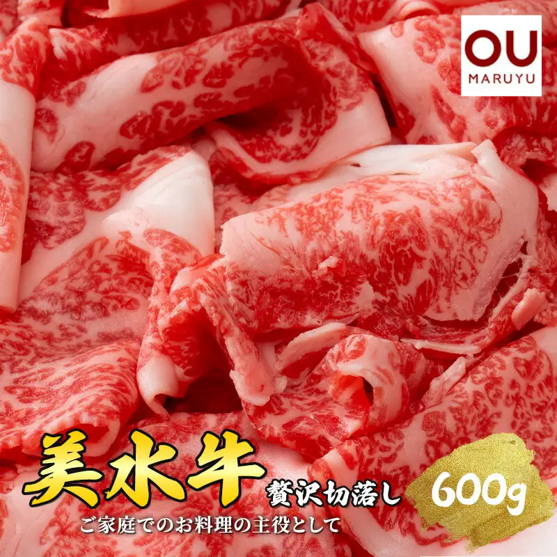 【ふるさと納税】美水牛 贅沢 切落し 600ｇ ( 200ｇ×３ ) 牛肉 冷凍品 ギフト 肉 お祝い 但馬牛 神戸牛 三田牛 数量限定 訳あり ふるさと納税 ふるさと 人気 おすすめ 送料無料 兵庫県 三田市 [3d28bae590012]