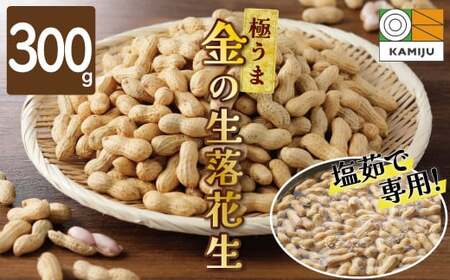 【2026年発送】事前予約 やみつき極うま “金の生落花生” 300g 生ピーナッツ 塩ゆで専用　H105-194