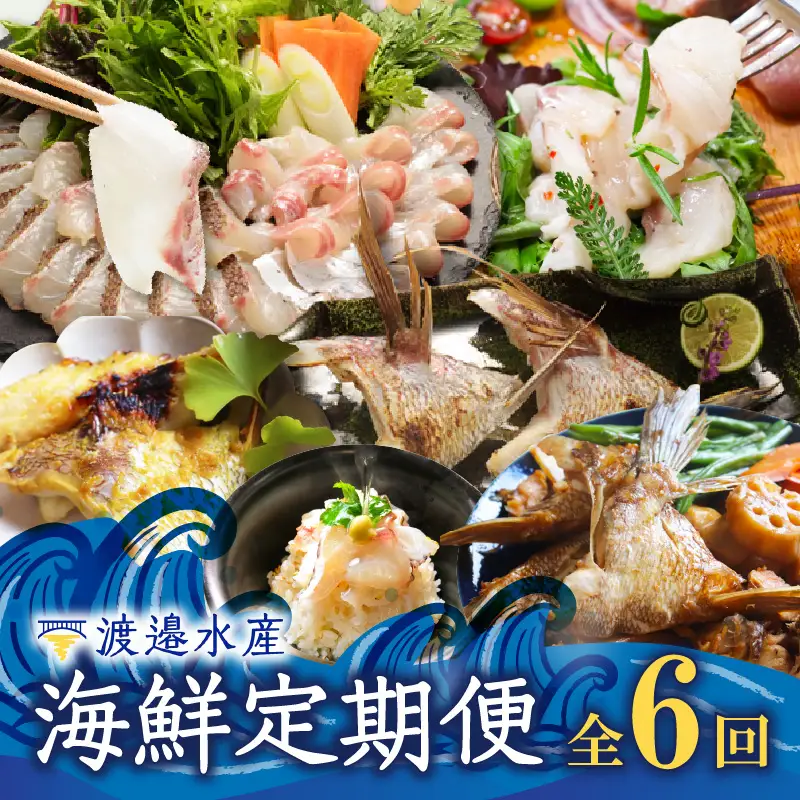 渡邉水産・海鮮定期便（6回）／ 真鯛 定期便【Z072】