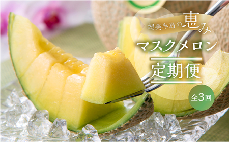 【定期便】先行予約 マスクメロン 3回定期便 2玉 3Lサイズ   日研農園