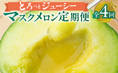【定期便】先行予約 マスクメロン 4回定期便 2玉 2026年6月スタート マルカ農園
