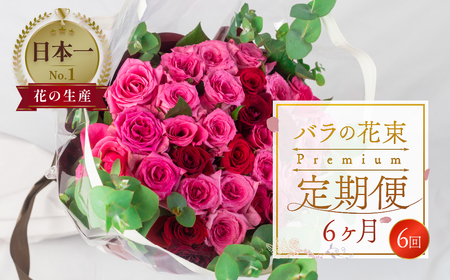 【定期便】薔薇のアレンジメント プレミアム定期便 6回 花束 最上級 30本 (50cm)