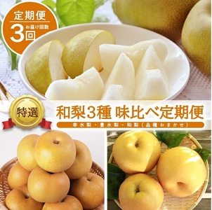 SE0509　【3回定期便】酒田産 特選 和梨3種味比べ定期便2026 (幸水梨、豊水梨、和梨〔品種おまかせ〕/各約3kg)