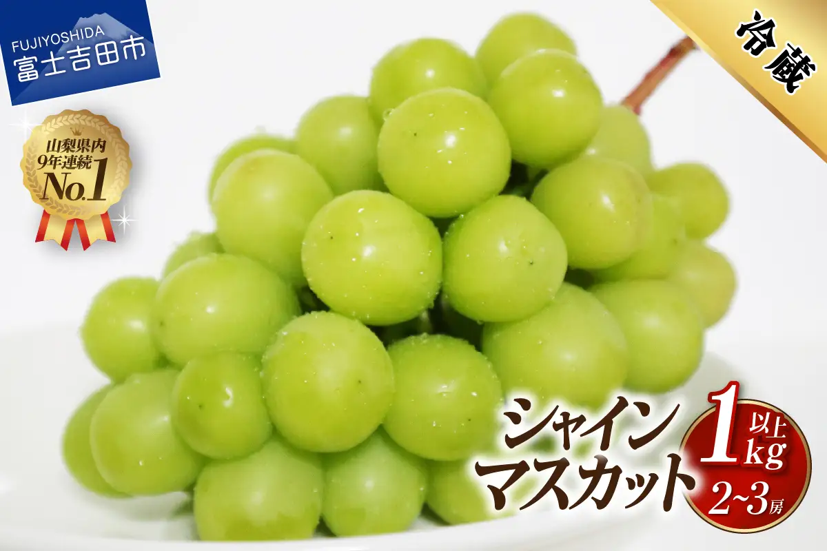 シャインマスカット 【2026年発送】山梨県産 シャインマスカット約1㎏（2～3房） フルーツ