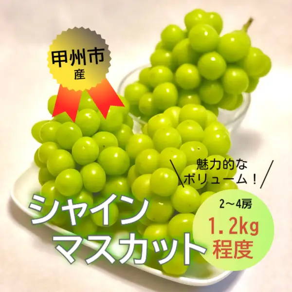 【訳あり】魅惑のボリューム感『シャインのふるさと甲州』シャインマスカット2～4房（約1.2kg）【2026年発送】（SFK）B11-855 シャインマスカット フルーツ