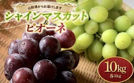 【2026年発送 先行予約】シャインマスカット5kgとピオーネ5kg 計10kg マスカット ぶどう ブドウ 葡萄 デザート フルーツ 果物 くだもの 果実 食品 山形県 FSY-1015