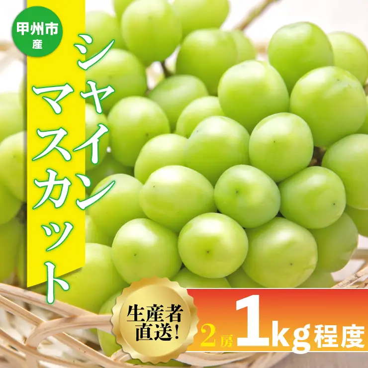生産者直送『シャインのふるさと甲州』シャインマスカット 2房（約1kg）【2026年発送】（SFK）B11-856 シャインマスカット フルーツ