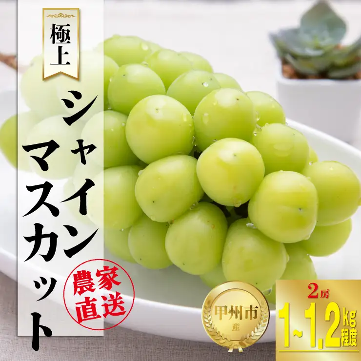 農家直送『シャインのふるさと甲州』極上シャインマスカット 2房（約1～1.2kg）【2026年発送】（SFK）B15-855 シャインマスカット フルーツ