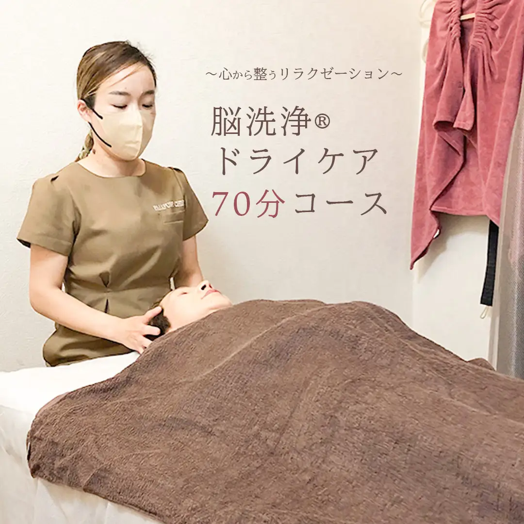 Reset Lounge 脳洗浄®︎ドライケア70分 脳洗浄 体験 利用券 チケット 美容 癒し マッサージ [CP002ya]