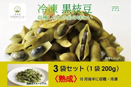 冷凍 丹波黒枝豆 熟成 600g（200g×3パック） [010KY002]