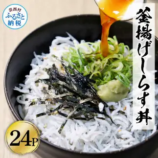 高知県産釜揚げしらす 50g×24パック 