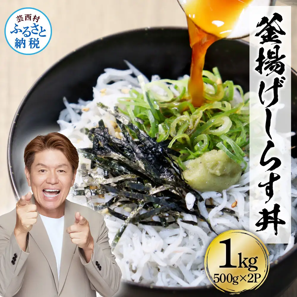 高知県産釜揚げしらす500g×2パック 