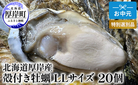 【お中元】北海道 厚岸産 ブランド牡蠣 マルえもん 殻付き 牡蠣 LLサイズ 20個 【光輝】 [ 魚貝類 生牡蠣 海鮮 海の幸 生食用牡蠣 生食用 生食用殻付き牡蠣 濃厚 甘み  オイスター ]  