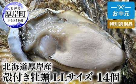 【お中元】北海道 厚岸産 ブランド牡蠣 マルえもん 殻付き 牡蠣 LLサイズ 14個 【光輝】 [ 魚貝類 生牡蠣 海鮮 海の幸 生食用牡蠣 生食用 生食用殻付き牡蠣 濃厚 甘み  オイスター ]  