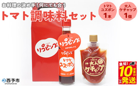 ＜お料理の決め手！何にでも合う トマト調味料セット（トマトユズポン・大人ケチャップ 各1個）＞ とまと 野菜 ゆず ポン酢 完熟 調味料 詰め合わせ ギフト 食べて応援 国産 特産品 遊子川ザ・リコピンズ 愛媛県 西予市【常温】『最短10営業日以内に発送』 SYR0006