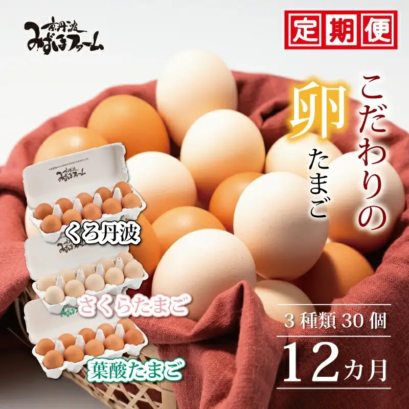 【卵 定期便12か月】京丹波3種のこだわりたまご 卵30個