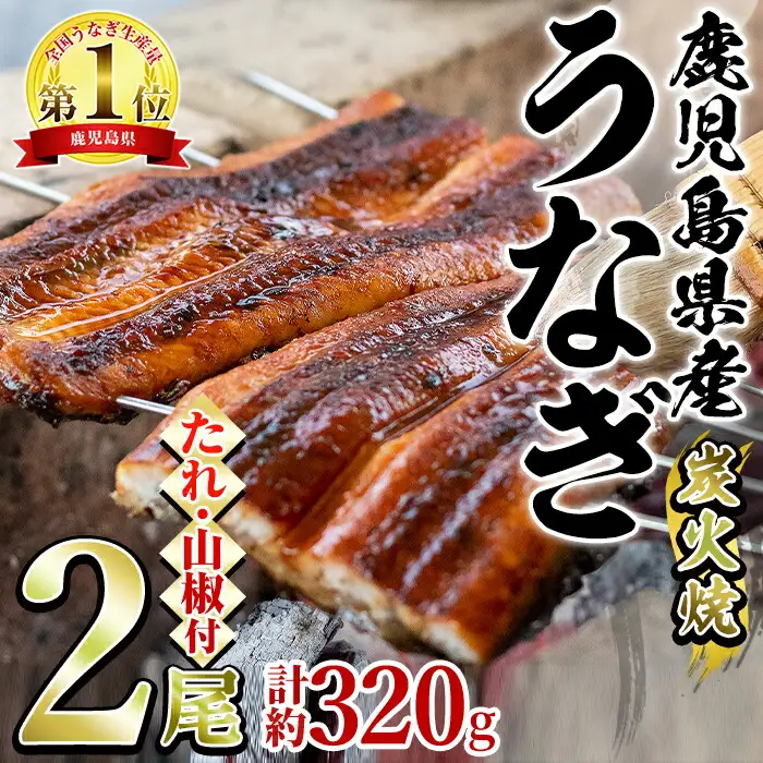 東串良町のうなぎ炭火蒲焼(無頭)(2尾・計約320g・タレ、山椒付) うなぎ 高級 ウナギ 鰻 国産 蒲焼 蒲焼き たれ 鹿児島 ふるさと 人気【アクアおおすみ】【0174319a】