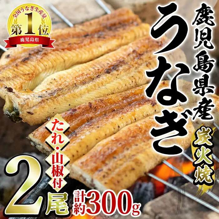 東串良町のうなぎ炭火白焼(無頭)(2尾・計約300g・タレ、山椒付) うなぎ 高級 ウナギ 鰻 国産 白焼き 鹿児島 ふるさと 人気【アクアおおすみ】【0174320a】