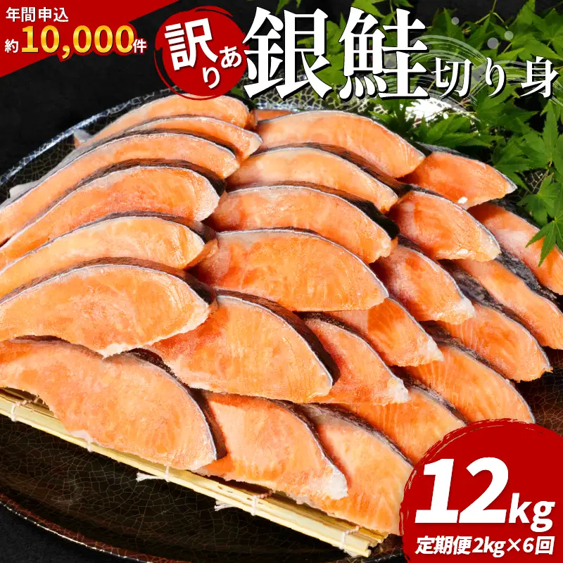 訳あり 銀鮭 定期便 2kg × 6回 計12kg 鮭