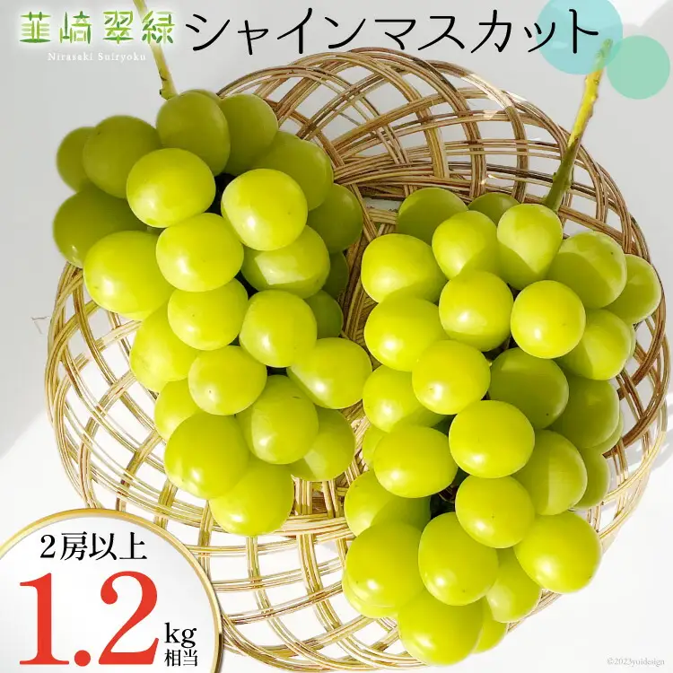 【2026年発送】シャインマスカット 予約 1.2kg 相当 NS-1002 韮崎翠緑セレクト [韮崎翠緑 山梨県 韮崎市 20743497]