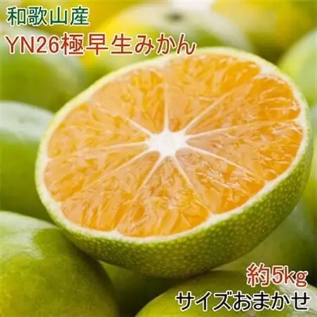 【産直】YN26極早生みかん約5kg(2S～Mサイズおまかせ)【日高町】【1217821】