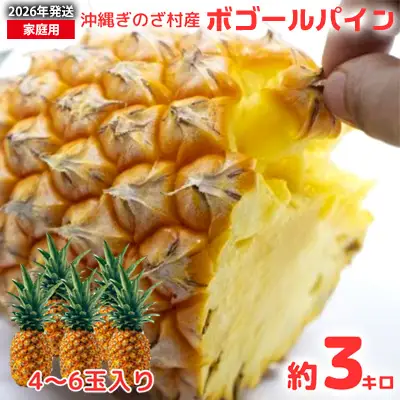 【2026年発送】仲間農園の宜野座村産完熟ボゴールパイン約3kg（小玉4～6個） 甘い 果物 熱帯 ジュース パインアップル 沖縄 国産 好き お祝い ギフト トロピカルフルーツ パイナップル スナック 送料無料 デザート 人気 甘味 送料無料 パイナップル 宜野座村