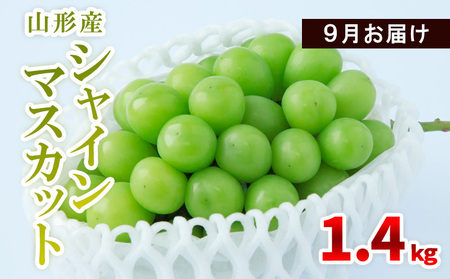 山形産 シャインマスカット 1.4kg(2～4房) 9月お届け 【令和8年産先行予約】FS23-855